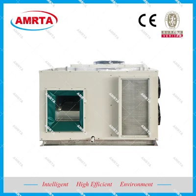 Unité de traitement d'air combinée de type propre industriel et commercial/système de refroidissement de climatiseur Ahu